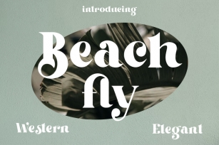 Beach Fly Font Download