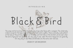 Black  Bird Font Download