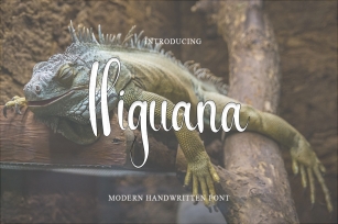 Higuana Font Download