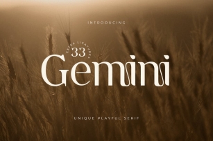 Gemini - Unique Playful Serif Font Download