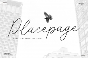 Placepage A Beautiful Script Font Download