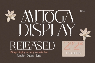 Mitoga Display Font Download