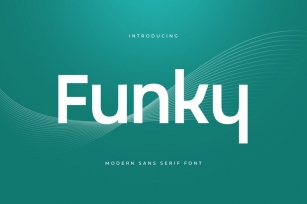Funky - Modern Sans Serif Font Font Download