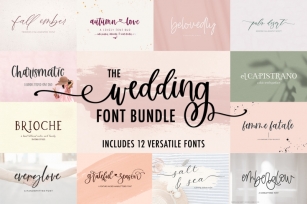 The Wedding Font Bundle Font Download