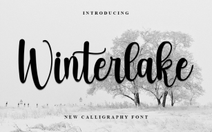 Winterlake Font Download
