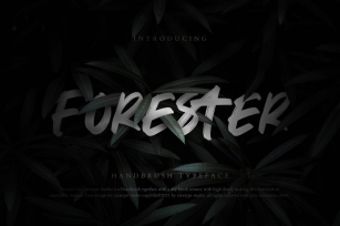 Forester Hand Brush Font Download