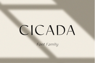 Cicada Font Family Font Download