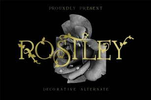 Rostley - Serif Font Font Download