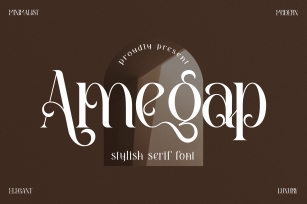 Amegap Stylish Serif Font Download