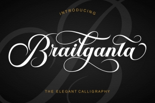 Brailganta Script Font Download
