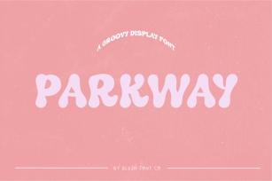 PARKWAY Stylish Retro Font Font Download