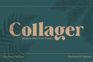 Collager Font Download