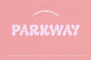 PARKWAY a Classy Retro Font Download