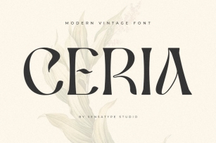 Ceria - Modern Vintage Font Font Download