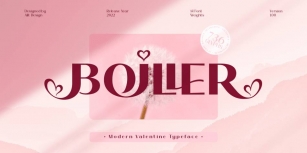 Boiller Typefacae Font Download