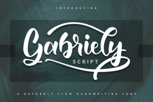 Gabrelly | Handwriting Script Font Font Download