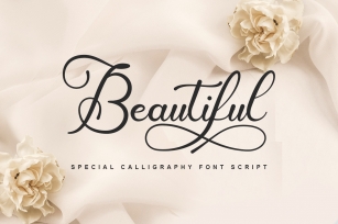 Beautiful Font Download
