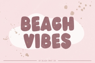 BEACH VIBES Soft Display Font Font Download
