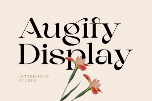 Augify Display Font Download