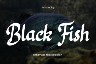 Black Fish Font Download