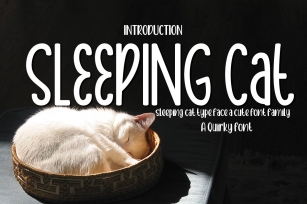 Sleeping Cat Font Download