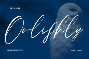Owlishly Signature Script Font Download