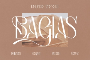 Bagias Stylish Serif Font LS Font Download