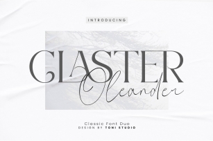 Claster Oleander Duo Font Download