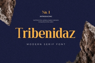 Tribenidaz Serif Display Font Download