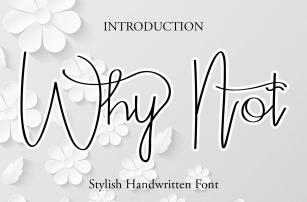 Why Not Font Download