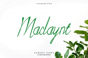 Maclay Font Download