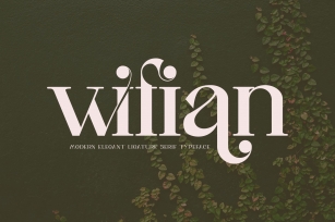 wifian Ligature Serif Typeface Font Download