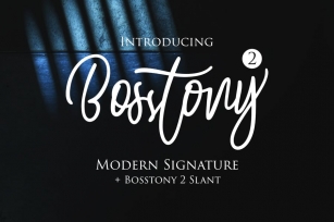 DS Bosstony 2 - Modern Signature Font Download