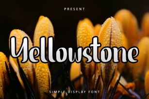 Yellowstone Font Download