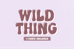 WILD THING Retro Font Family Font Download
