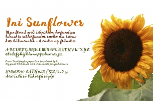 Ini Sunflower Font Download