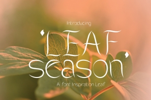 Leaf Season Font Download