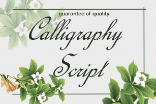 Calligraphy Script Font Download