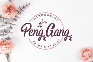 Peng Gang Font Download