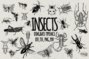 Insects Font Download