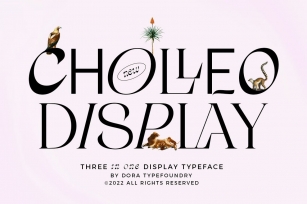 Cholleo Display Font Download
