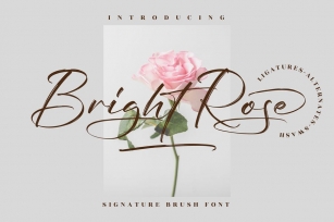 Bright Rose Signature Brush Font LS Font Download