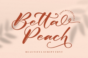 Betta Peach Beautiful Script Font LS Font Download