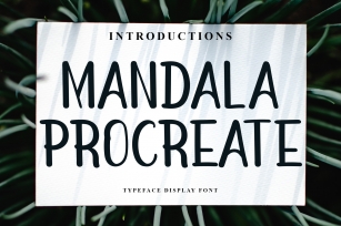 Mandala Procreate Font Download
