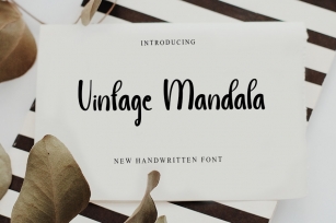Vintage Mandala Font Download