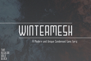 Wintermesh Modern and Unique Condensed Sans Serif Font Download