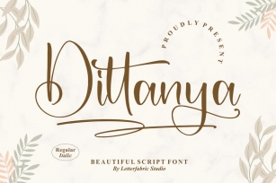 Dittanya Beautiful Script Font LS Font Download