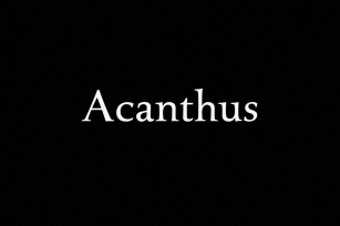 Acanthus Font Download