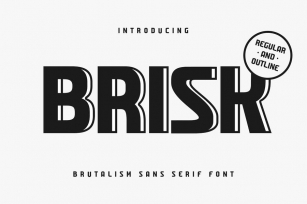 Brisk - Brutalism Sans Serif Font Font Download