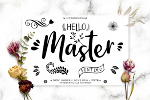 Hello Master Font DUO Font Download